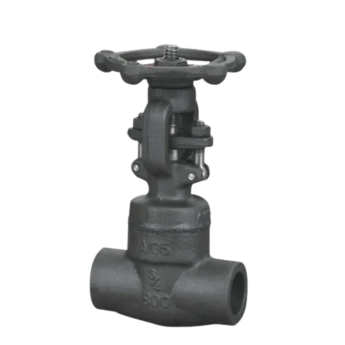 IBR Gate Valve